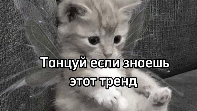 ? Танцуй если знаешь этот тренд ✨/Новые тренды ? смотреть онлайн