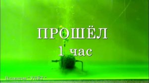 Технопланктон « УЛЁТ « ДОННЫЙ ГЕЙЗЕР (2 часа)