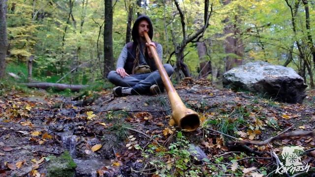 12 минут медитации с диджериду | 12 minutes didgeridoo meditation смотреть онлайн