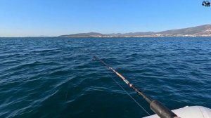 РЫБАЛКА на Черном Море. ПОЙМАЛИ много разной рыбы.
