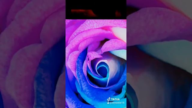 А пачи смотреть онлайн