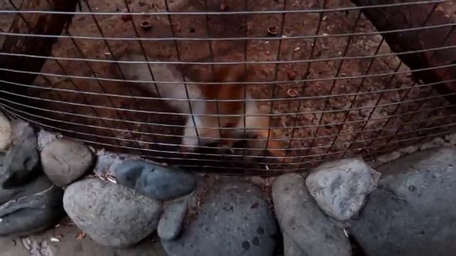 отель грейс кипарис адлер территория смотреть онлайн