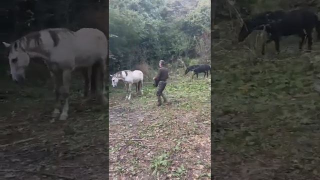 дошли до стоянки, пер. Хмарный. смотреть онлайн