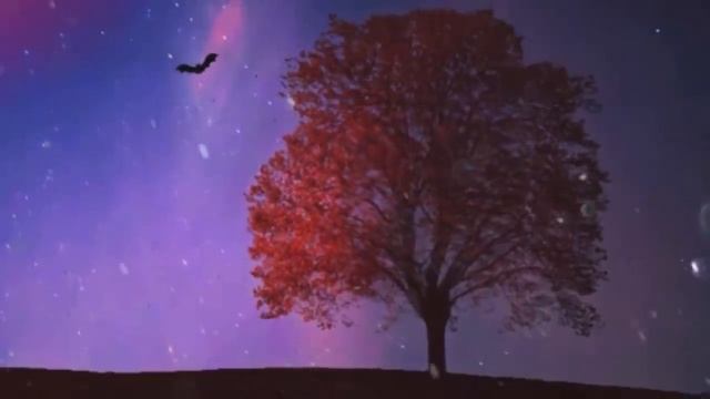 2 ноября: Очищение Кармы. Озарения и новые идеи смотреть онлайн