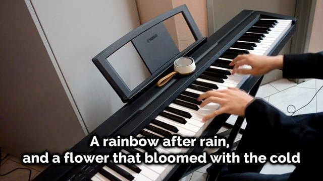 Sad Anime Piano Medley (Violet Evergarden Guilty Crown Your Lie in April Angel Beats Medley) смотреть онлайн