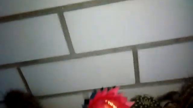 Эхинопсис - ночной цветок! 🌵🌼😍 смотреть онлайн