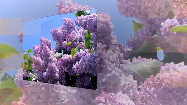 Сургутский вальс смотреть онлайн