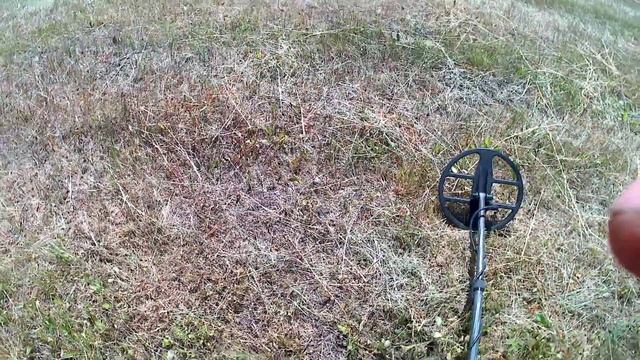 GoldSeeker  в работе