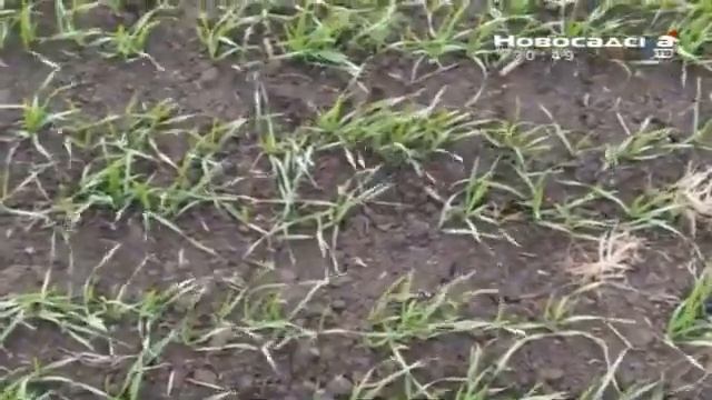 EMISIJA OTKOS 16 01 2021