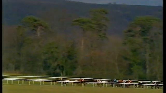 1988 Crown Paints Hurdle Rymster смотреть онлайн