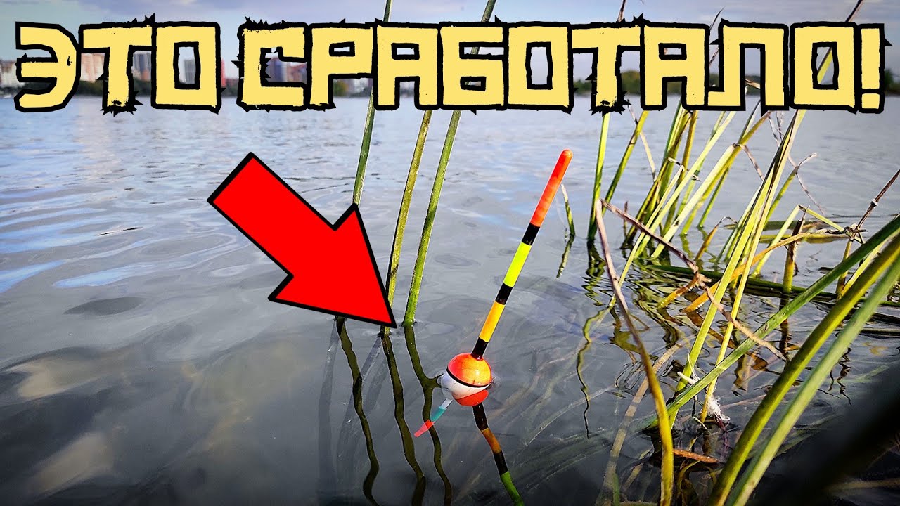 РЕЧНАЯ ЯМА УДИВИЛА! Закормил по НАУКЕ и ПОНЕСЛАСЬ! Рыбалка осенью 2023 смотреть онлайн