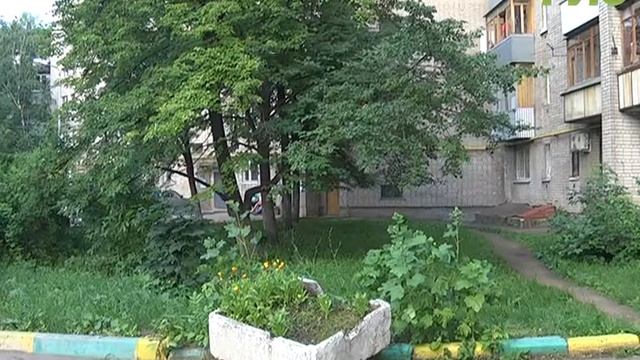 Как сделать из обычного двора мини-сквер с цветущими клумбами и уникальными растениями смотреть онлайн