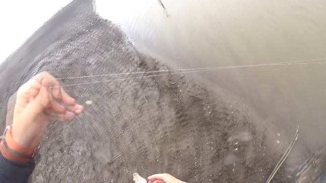 Спиннинг вместо донки, кусок хлеба для плотвы и первый улов в Пермском Крае. смотреть онлайн