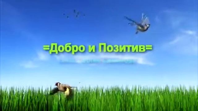 словарь русского мата # 12 смотреть онлайн