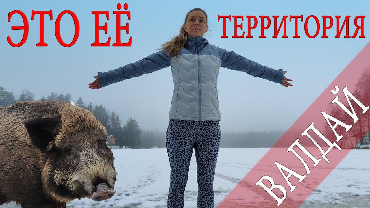 ЭТО ЕЁ ТЕРРИТОРИЯ СЧАСТЬЯ!!! Валдай, ОХОТА, РЫБАЛКА. Приют охотника смотреть онлайн