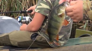 РЫБАЛКА ЛЕТОМ НА БАЛАНСИР БАБОЧКА