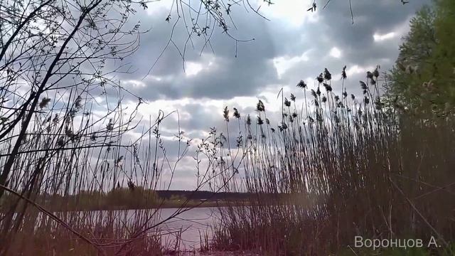 Мачеха. Аудио рассказ