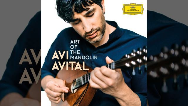 Vivaldi: Concerto for 2 Mandolins in G Major, RV 532 - I. Allegro смотреть онлайн