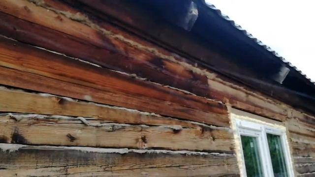 Жесть. Паук плетет паутину. В мире животных смотреть онлайн