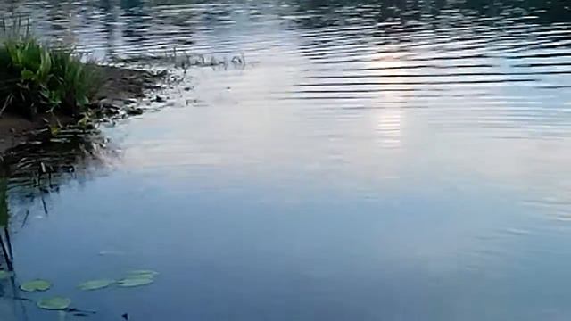 На рыбалке (бобр) смотреть онлайн