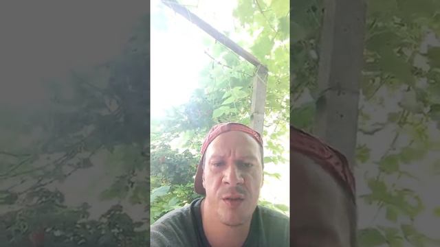 411.12.23.ཡ.£.!!!.ГОРБАТАЯ БАЛЕРИНА. !!!.СЕКС. ДАЛО. ЭТИКА. PROPHET. SHCHERBAKOV. ЩЕРБАКОВ АРТЕМ.