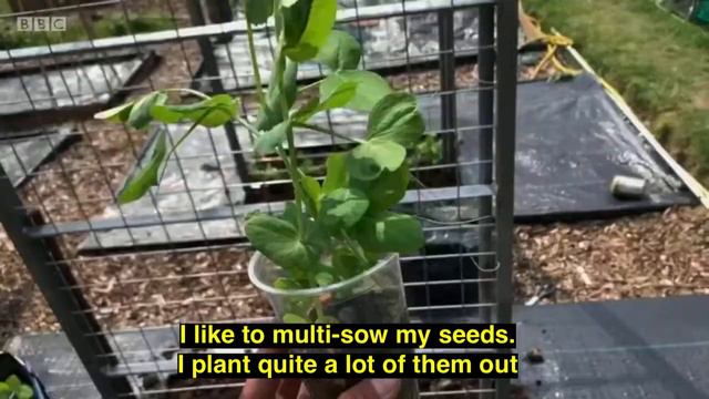 Winter Specials - Feb 2021 BBC Gardener’s World - Episode 4