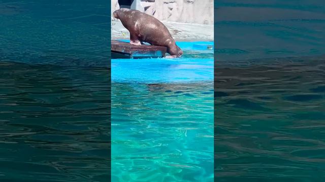 6 мая 2023 г. смотреть онлайн