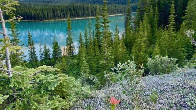 Стих: Голгофа смотреть онлайн