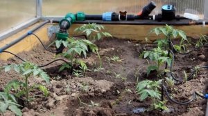 Система Капельного Полива Отзывы