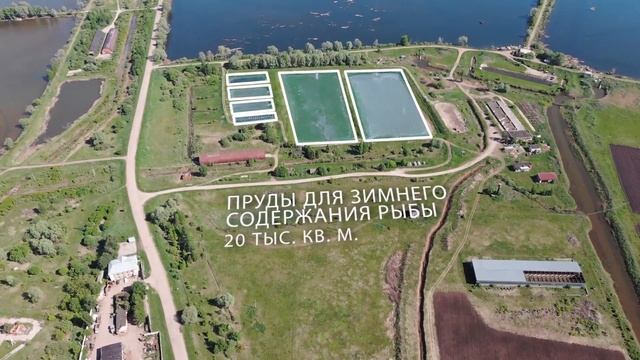 Наложение графики на видео смотреть онлайн