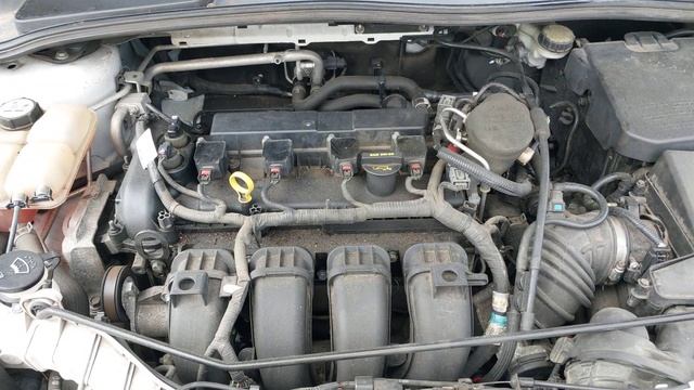 Ford 2.0L Inline4 16 Valve Regular Gas Unleaded motor sound of 2013 Focus Se 1FADP3F20DL314331 смотреть онлайн