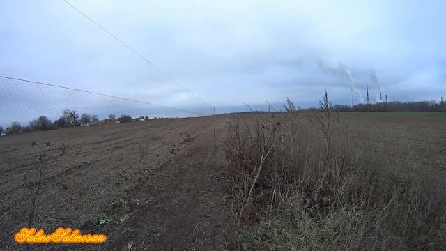 Ловля певчих птиц на паутинку Щеглы, Репел, Зеленушки, Чижи смотреть онлайн