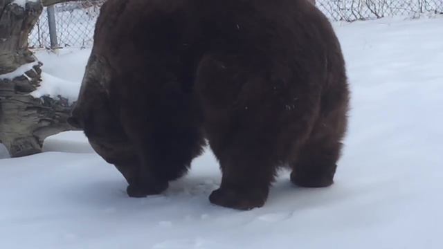 Oh Leo! You are soooooooo cute! смотреть онлайн