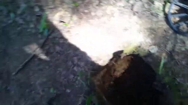 Эквинокс и чешуя на 30см