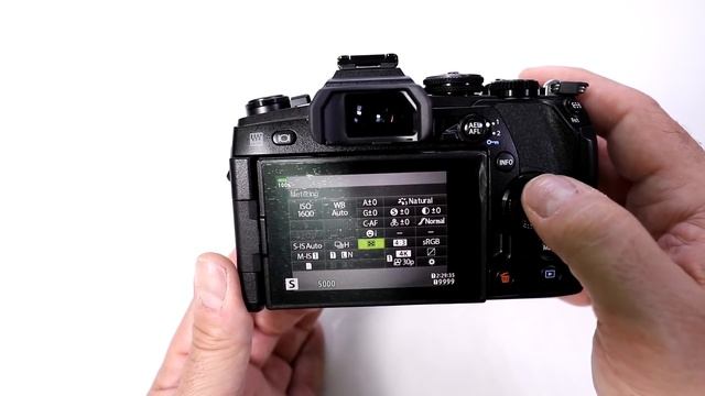 Olympus OM-D E-M1 Mark II Mirrorless Micro Four Thirds Digital Camera | FAQ
