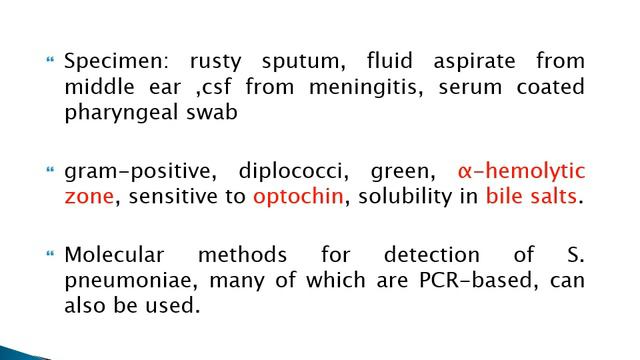 Streptococcus pneumoniae agalactae&Enterococcus|microbiology lectures|Basicsofmicrobiologybydrkiran смотреть онлайн