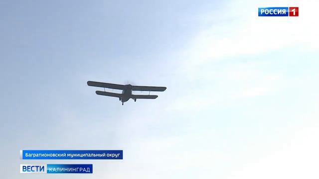 Заработал аэроклуб ДОСААФ в Калининграде смотреть онлайн