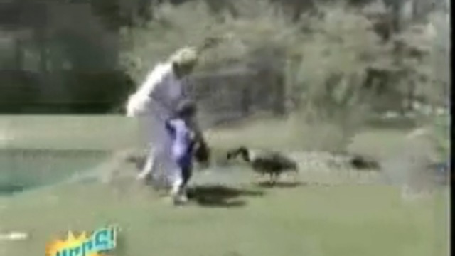 Очень смешная подборка приколов смотреть онлайн