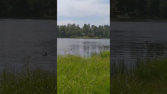 #лето #солнце #вода #отдыхвроссии смотреть онлайн