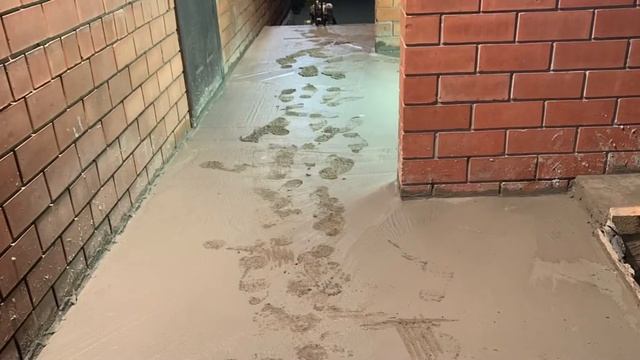 Заливка отмостки и крыльца