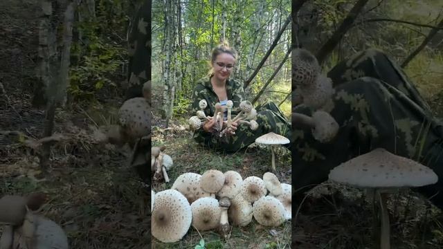 ОКАЗЫВАЕТСЯ, ЭТА ПОГАНКА - СЪЕДОБНЫЙ ГРИБ! ВЫ БУДЕТЕ ШОКИРОВАНЫ! смотреть онлайн