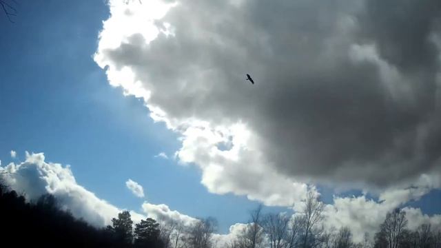 Река Чусовая от д. Верхнемакарово до плотины Верхне-Макаровского водохранилища смотреть онлайн