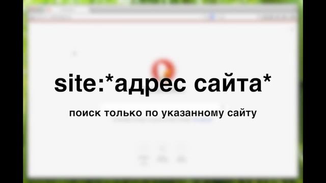 Несколько полезных советов по поиску в DuckDuckGo