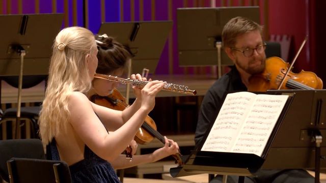 Mozart Flute Quartet in D Major, mvt. II Adagio - III. Rondo смотреть онлайн