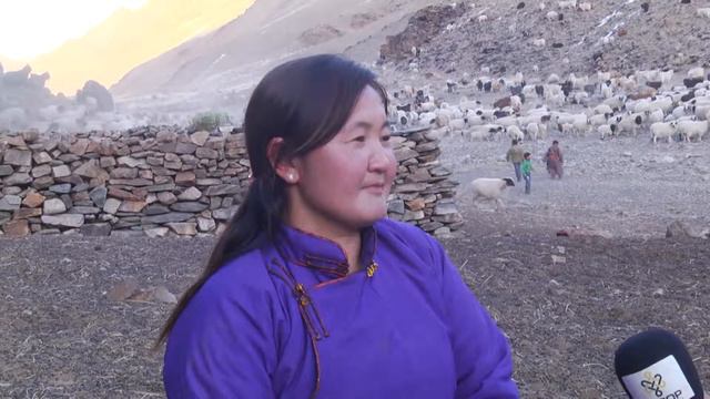 chimednamjil altai tv смотреть онлайн