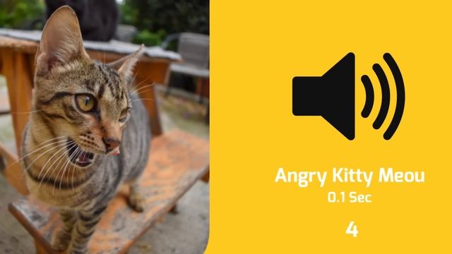Cat Meow Sound Effects смотреть онлайн