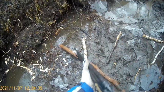 охота на бобра с ягдтерьером смотреть онлайн