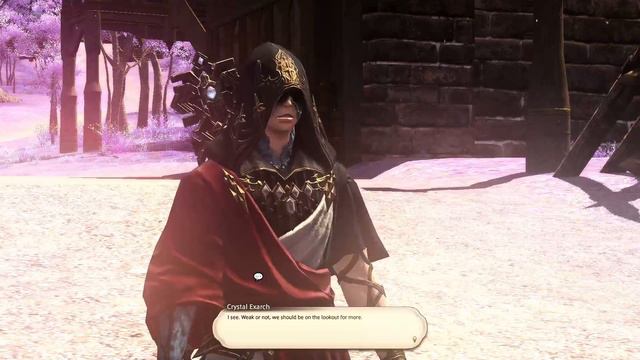 FFXIV | PLD LVL70 - 80 | ShadowBringers | MSQ + Dungeons Pt1 смотреть онлайн