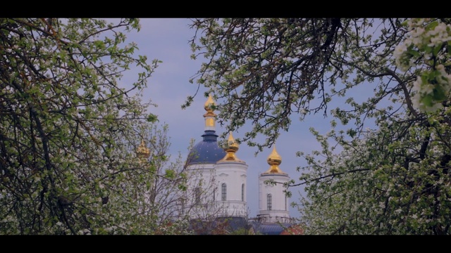 Цветущий сад