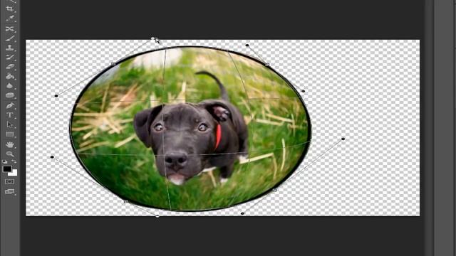 Делаем Fisheye в Photoshop [Рыбий глаз] смотреть онлайн